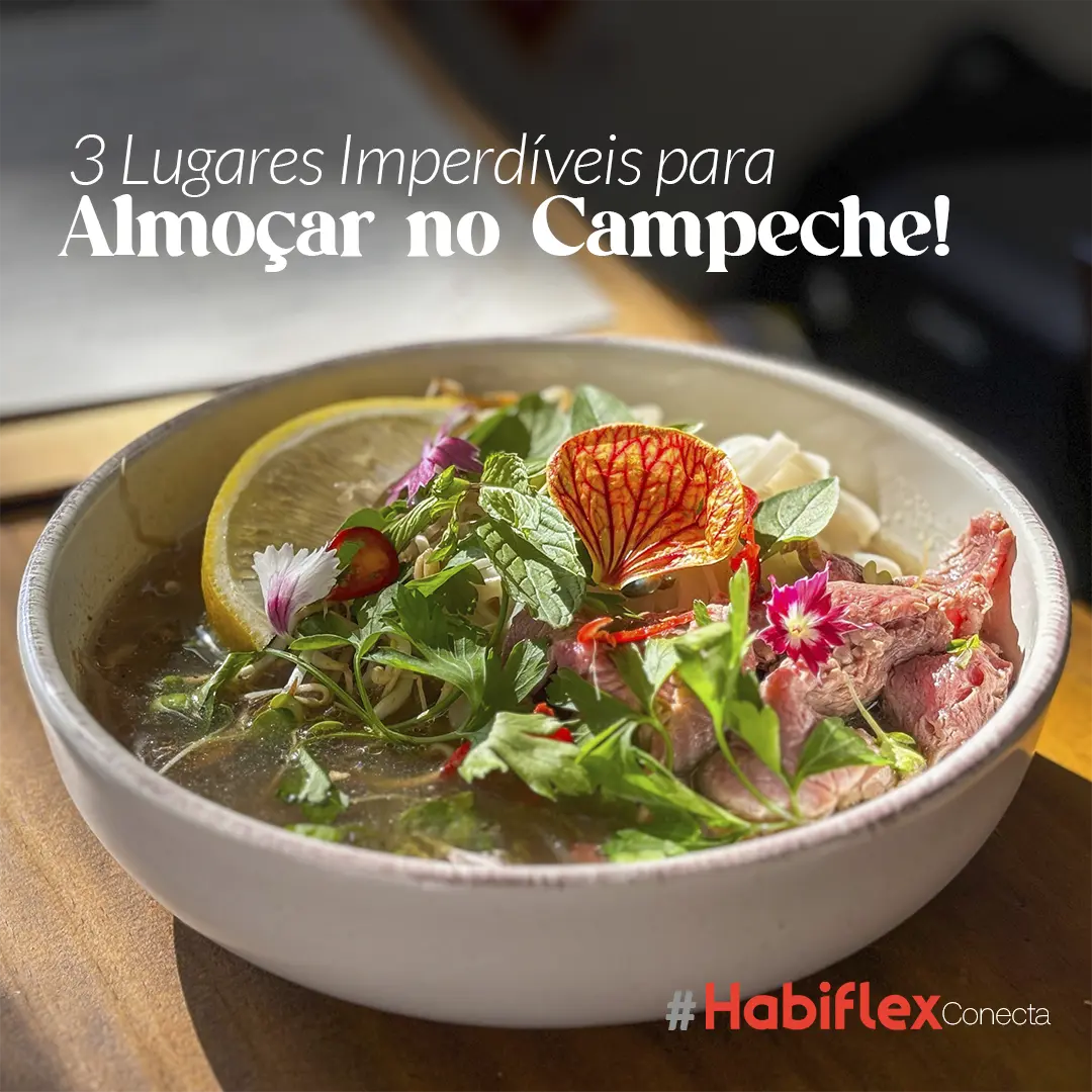 HABIFLEXconecta | Descubra 3 opções deliciosas para o seu almoço no Campeche!