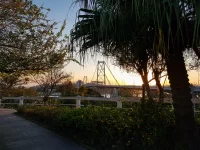 Mercado Imobiliário de Luxo em Florianópolis: Crescimento Recorde em 2024