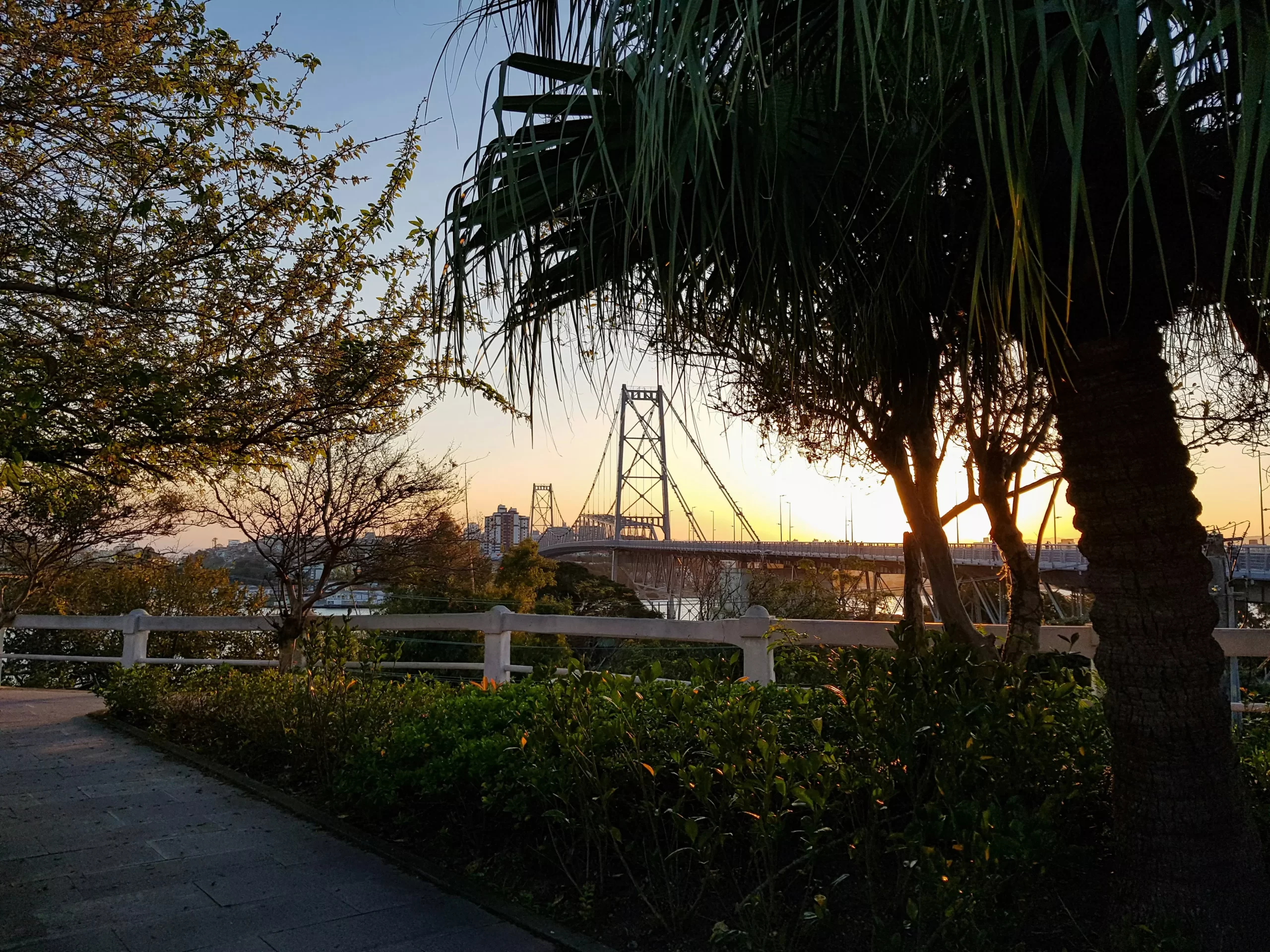 Mercado Imobiliário de Luxo em Florianópolis: Crescimento Recorde em 2024
